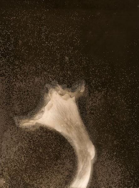 Pascal Mirande Serie Gullivers Les Photographiques