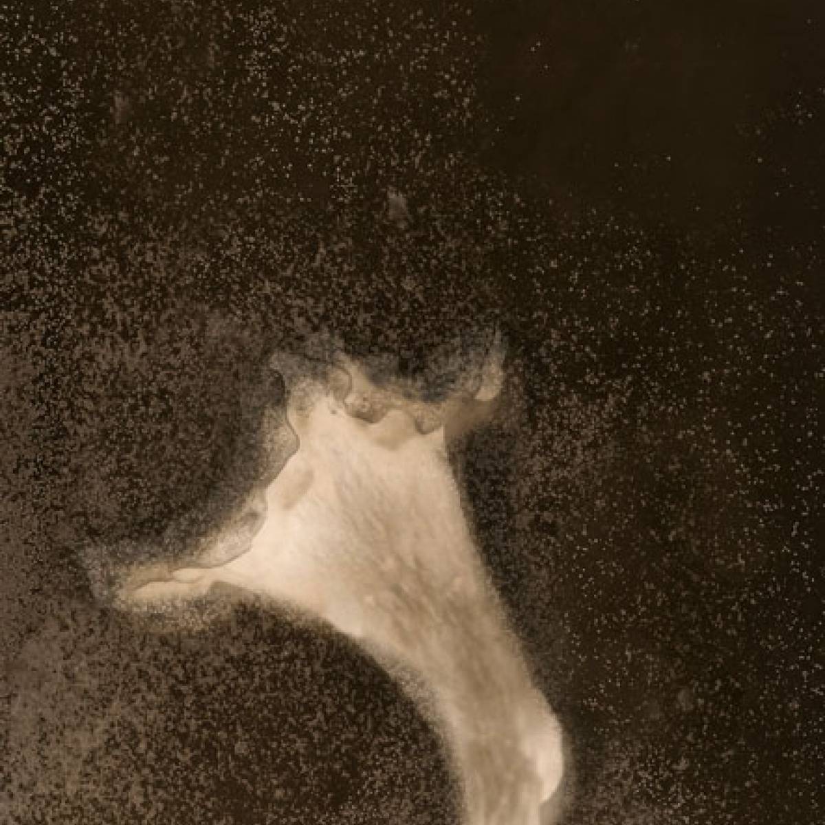 Anaïs Tondeur / Invitée