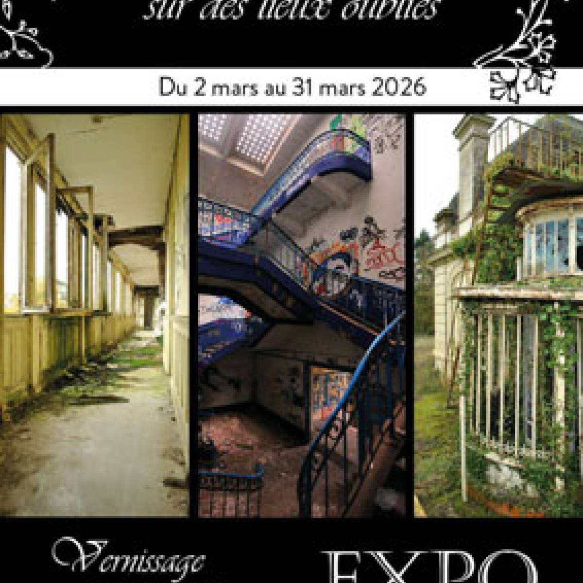 Sophie Brière. Le Lézard bar